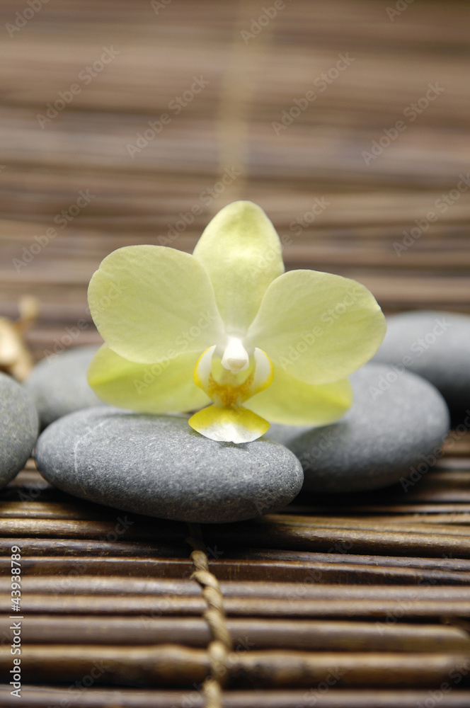 White orchid with stones on bamboo stick straw mat White orchid with stones on bamboo stick straw mat