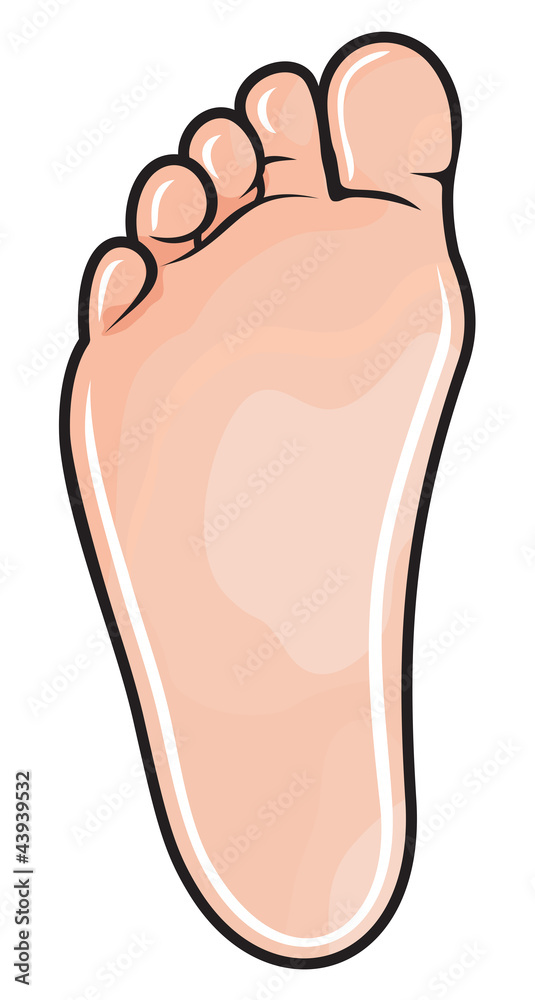 foot foot
