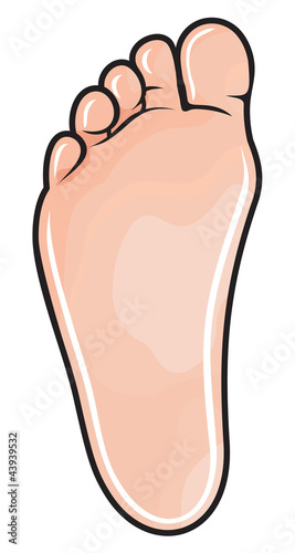 foot