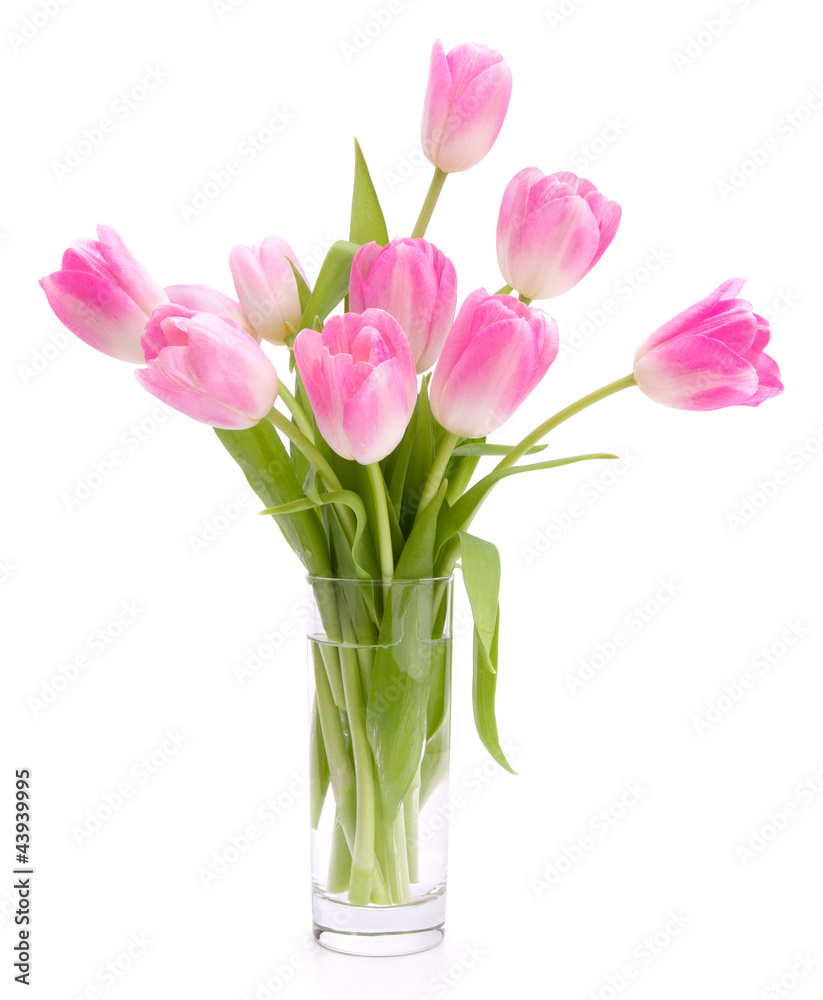 Pink tulips bouquet in vase isolated on white background Pink tulips bouquet in vase isolated on white background