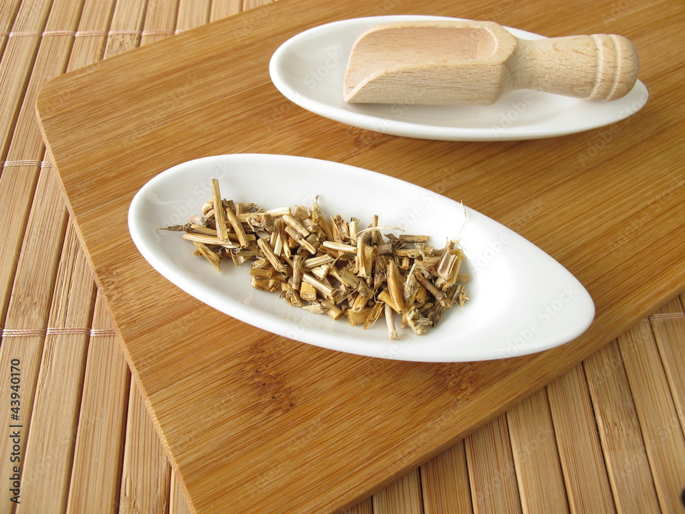 Queckenwurzelstock, Graminis rhizoma Queckenwurzelstock, Graminis rhizoma