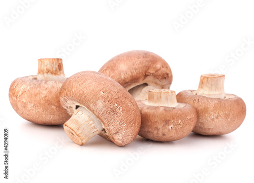 Brown champignon mushroom group