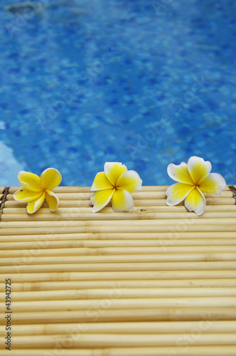 Three frangipani on mat