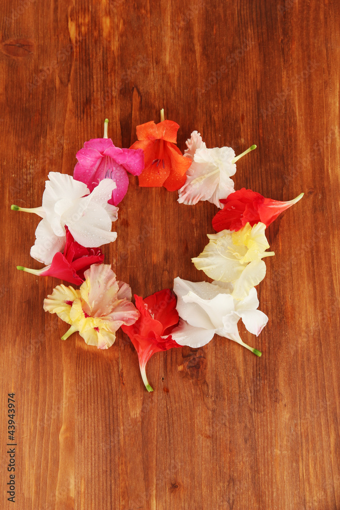 Fototapeta premium Frame of colorful gladioli blossoms
