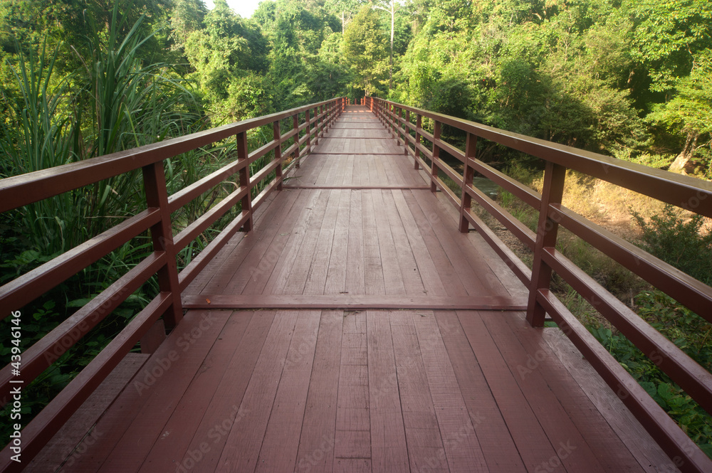 Wood bridge across river in forest ,Northeast of Thailand..