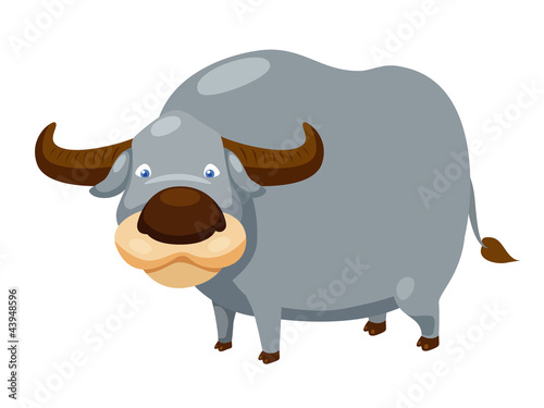 Buffalo vector