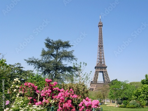 Park Champ de Mars with Eiffel Tower