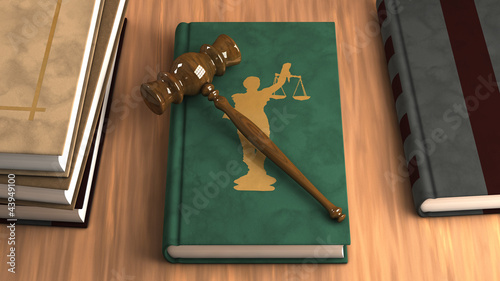Gavel on a law book