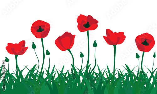 Fototapeta Naklejka Na Ścianę i Meble -  seamless pattern of red poppies