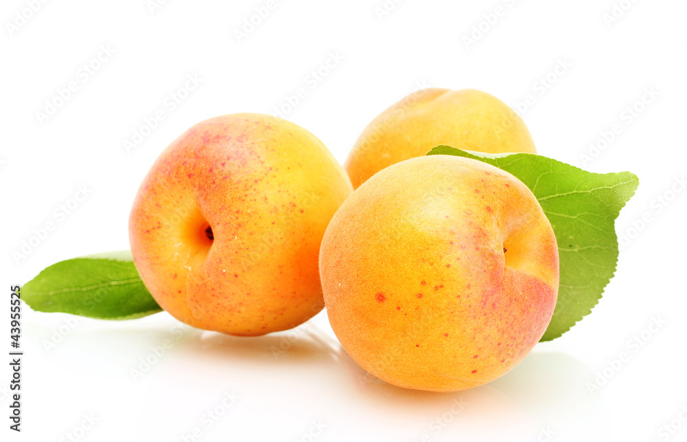 ripe sweet apricots with green leaves isolated on white ripe sweet apricots with green leaves isolated on white