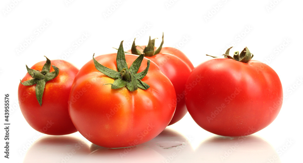 tomatoes isolated on white
