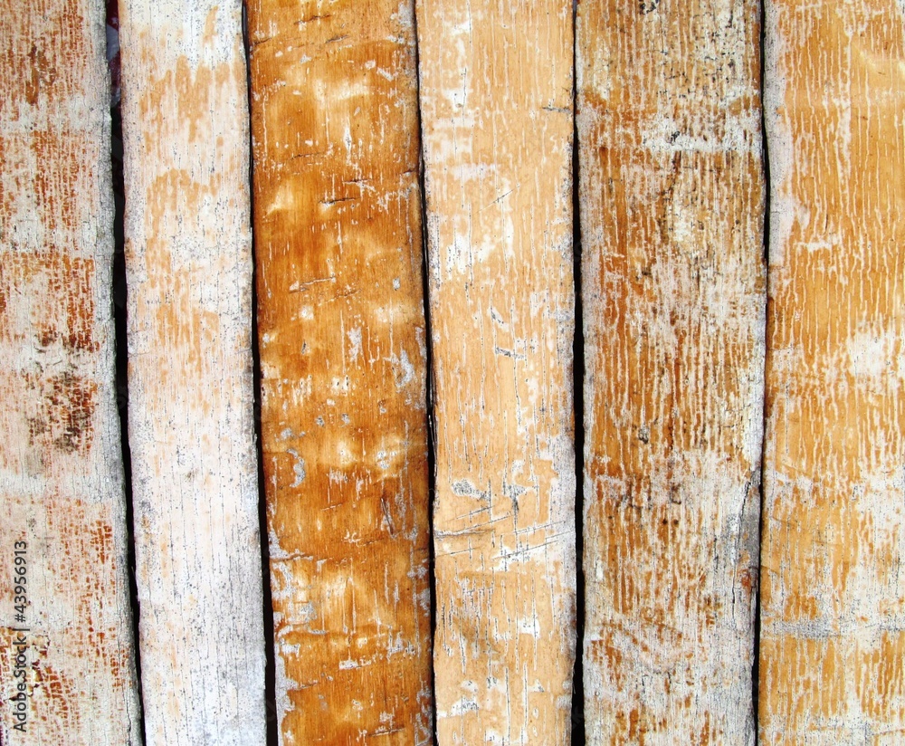 tablas de palma de la cerca del vecino foto de Stock Adobe Stock