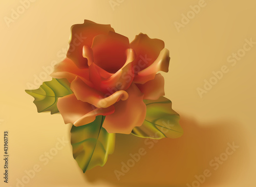 Delicate Rose