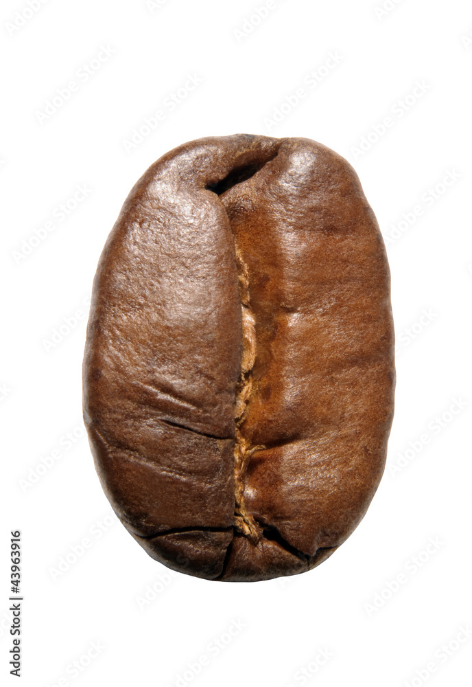 close-up of a single coffee bean (vertical position) close-up of a single coffee bean (vertical position)