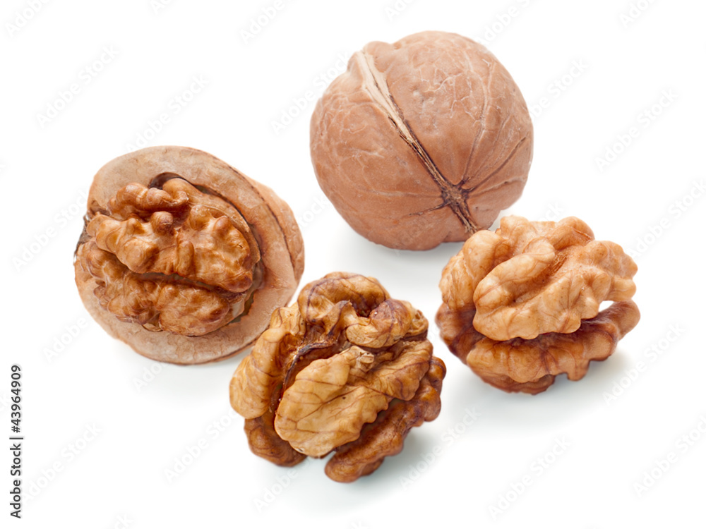 walnut and a cracked walnut isolated on the white background walnut and a cracked walnut isolated on the white background