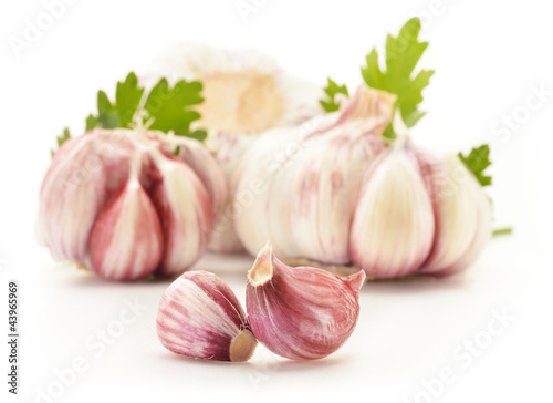 Fresh garlic with parsley isolated on white