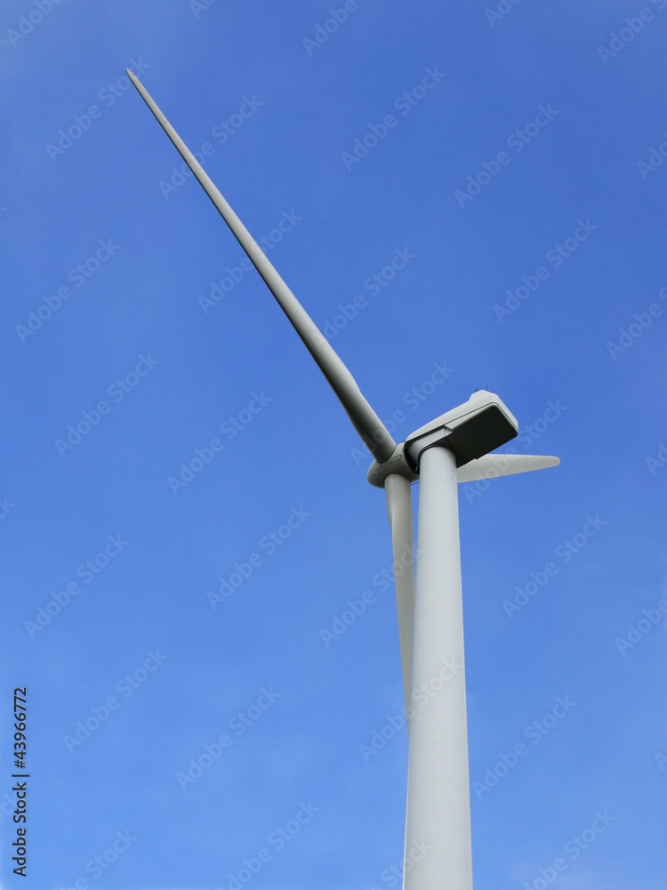 rotor rotor