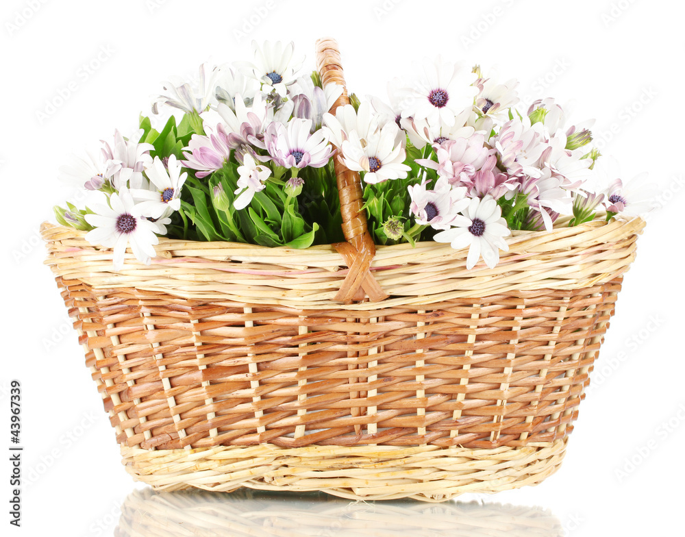 bouquet of beautiful summer flowers in basket, isolated on