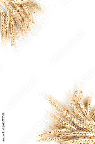 Barley frame
