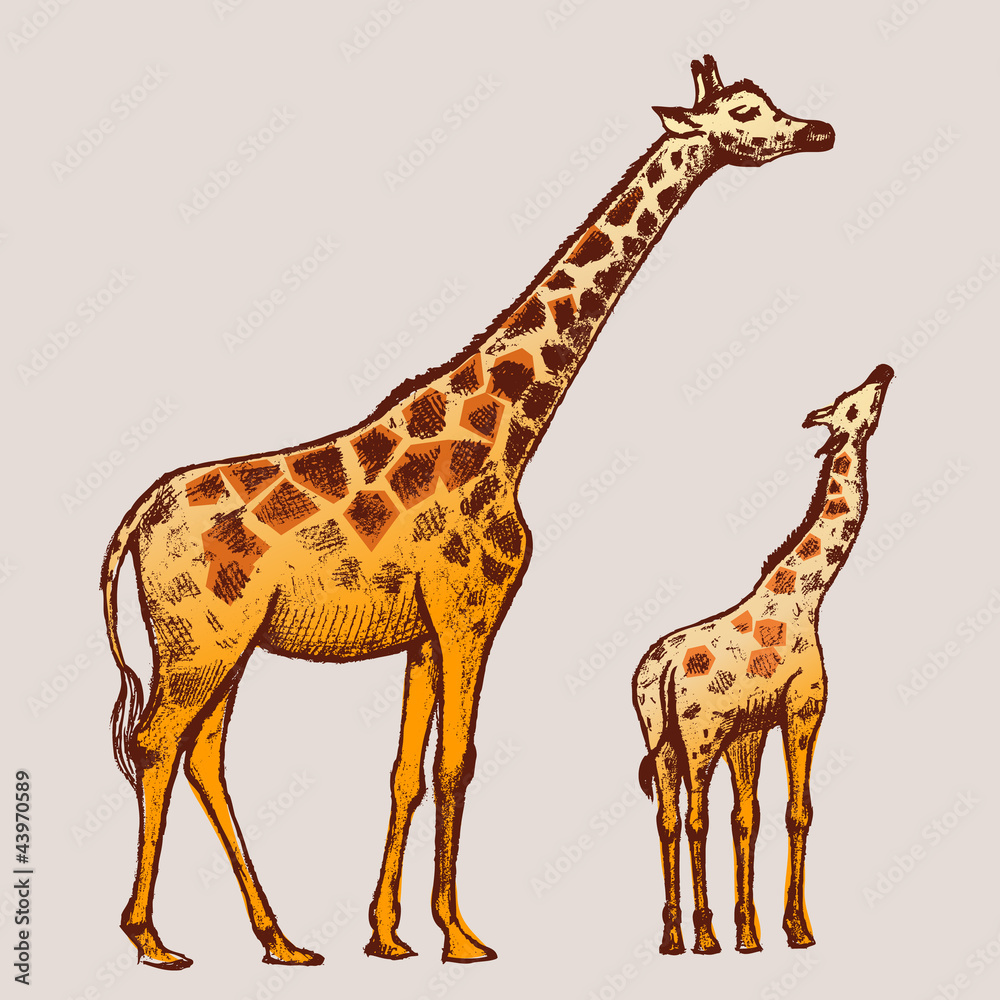 Obraz premium picture Giraffe Art