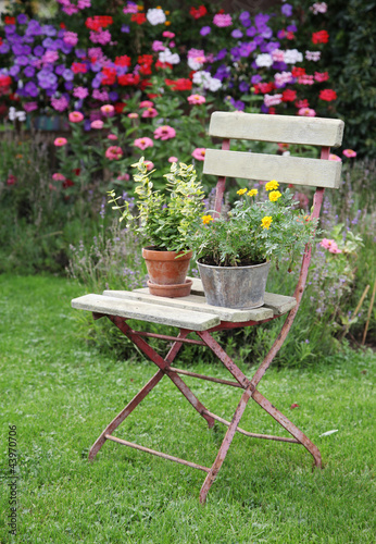Eisen-Stuhl mit Blumen im Garten