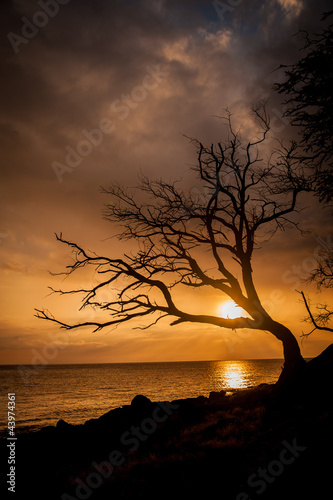 Orange sunset