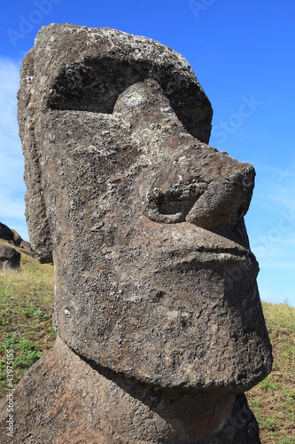 Ancient moai statue on Easter Island photo