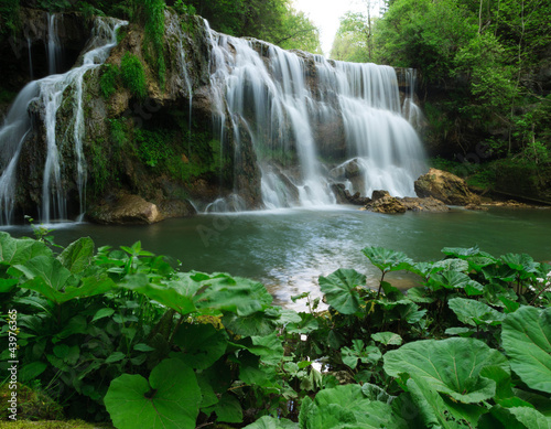 Cascade en pleine nature  avec plantes au premier plan