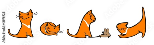 Set of images of a cat
