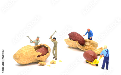 Minimum low wage concept of people working for peanuts photo
