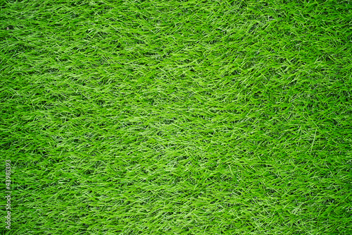 Artificial Green Grass Field