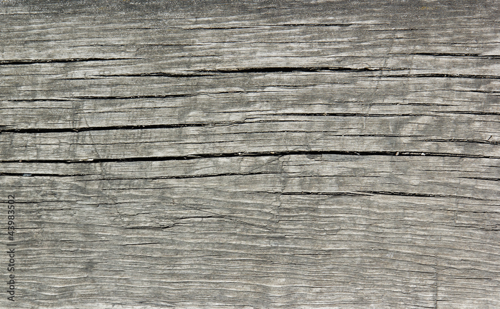 wood texture wood texture