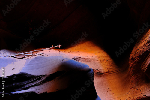 Driftwood in Upper Antelope Canyon
