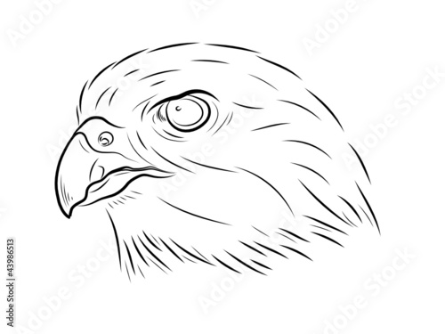 The stylised head of a hawk