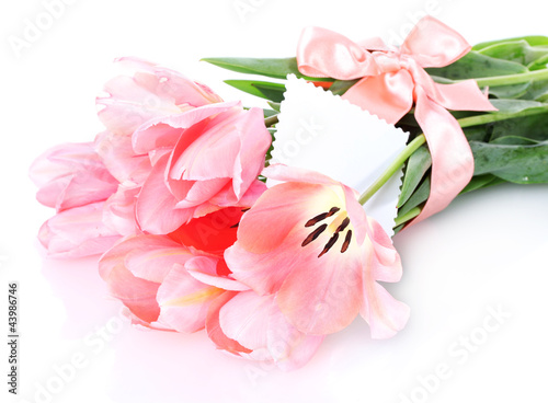 beautiful pink tulips isolated on white.
