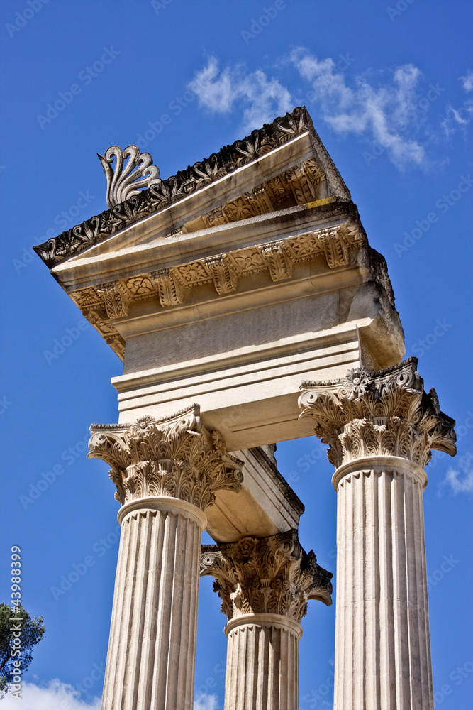 custom made wallpaper toronto digitalTwin Corinthian Temple in Glanum