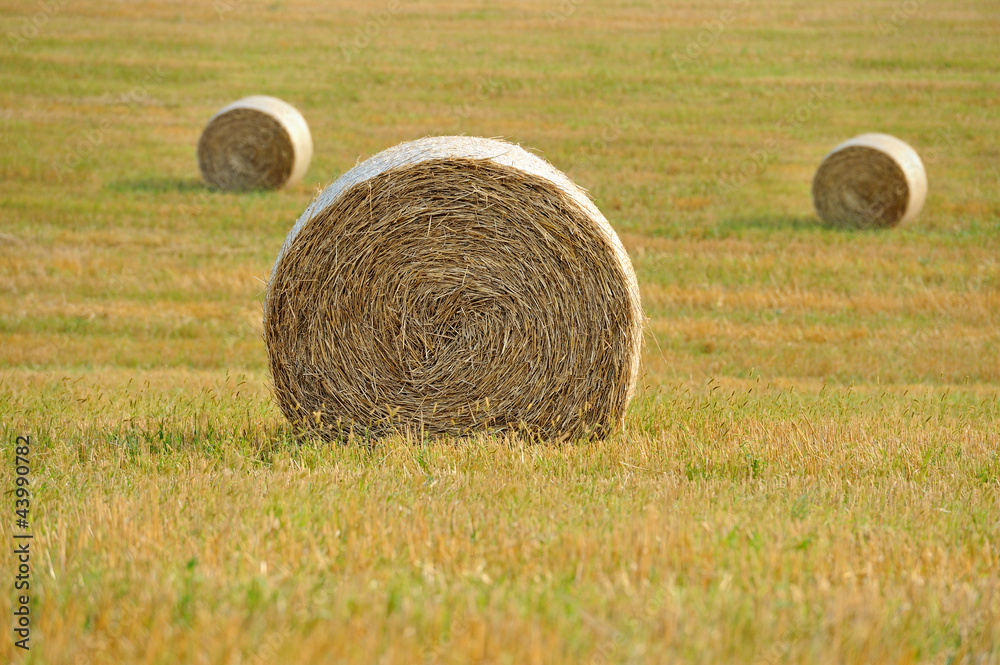 Straw bales in irish countryside Straw bales in irish countryside