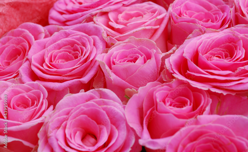 Big bunch of red roses