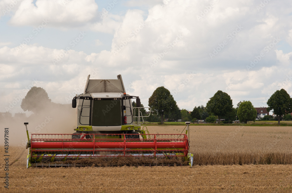 Fototapeta premium Ein Mähdrescher bei der Ernte