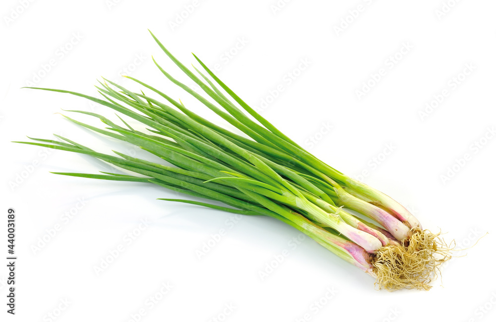 beautiful spring onions on a white background. beautiful spring onions on a white background.