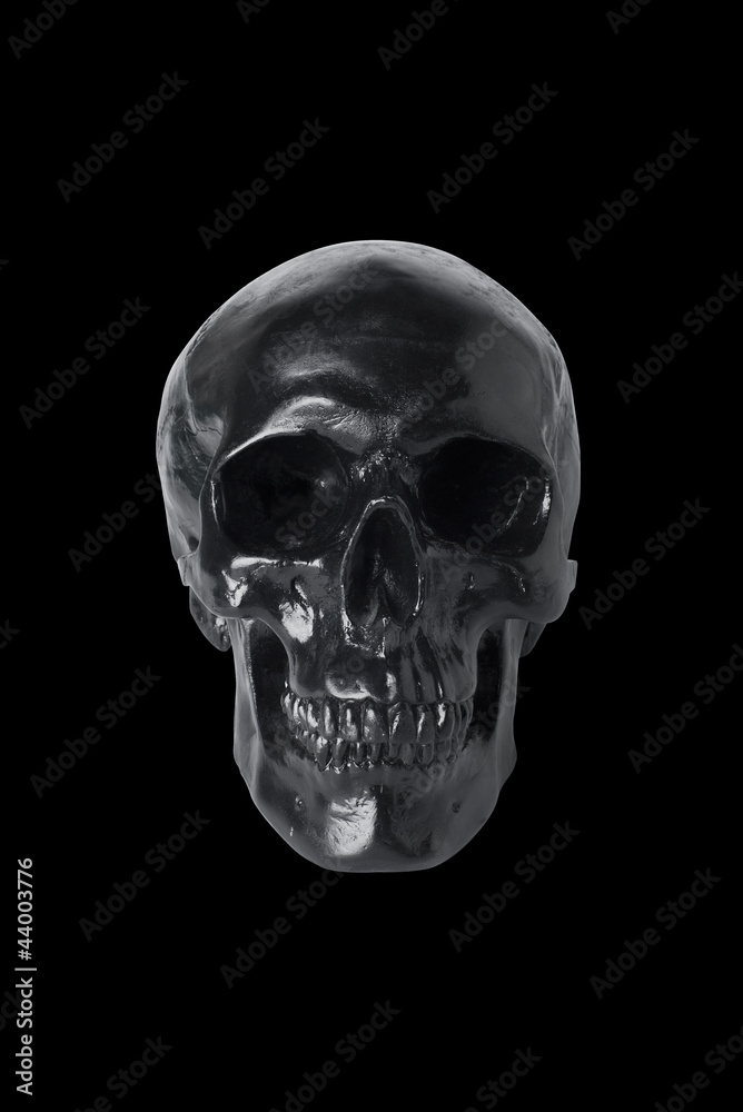 Black skull isolated Black skull isolated