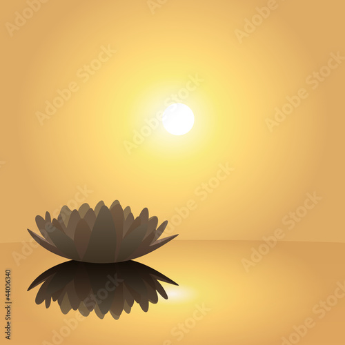 Nenuphar