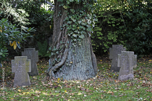 Grabkreuze auf dem Ehrenhain in Detmold photo