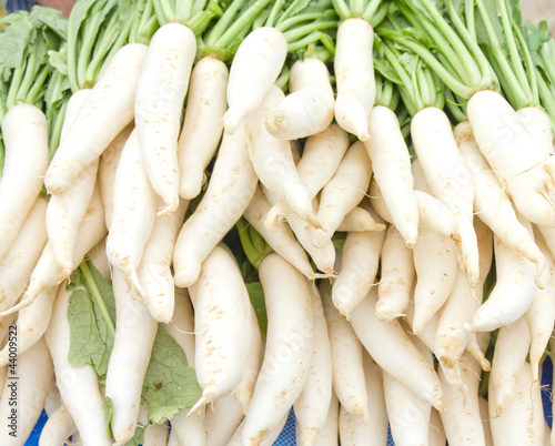 many white radishes