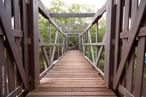 Fototapeta Naklejka Na Ścianę i Meble -  The wood bridge at the Mangrove forest, Thailand