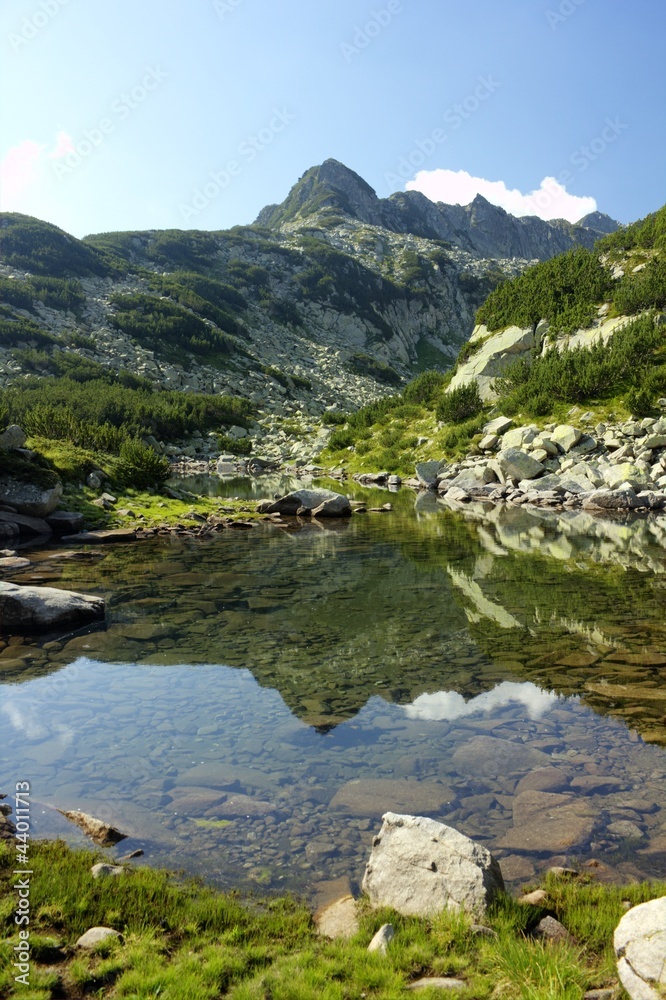 Pirin 43