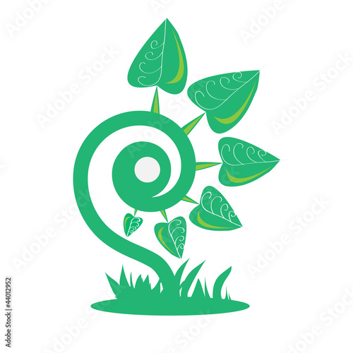 green_woodbine grass
