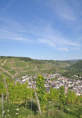 Weinort Dernau im Ahrtal