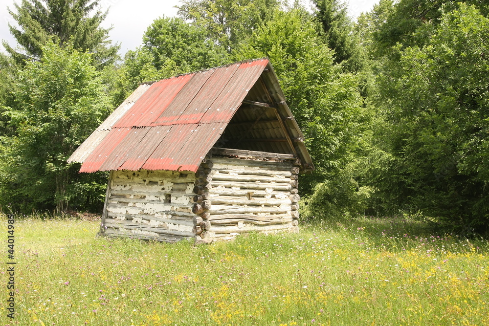 Old wooden house