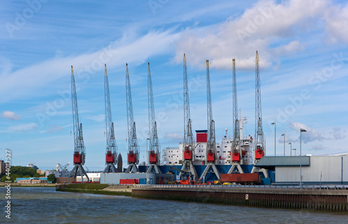 Harbor cranes photo